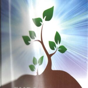 Empowered Single Parent